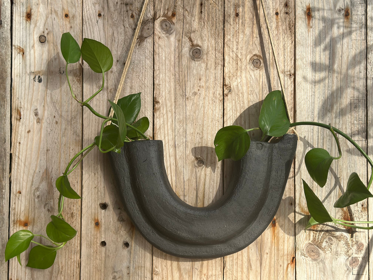 U-shaped black stoneware wall planter with trailing pothos against a timber backdrop