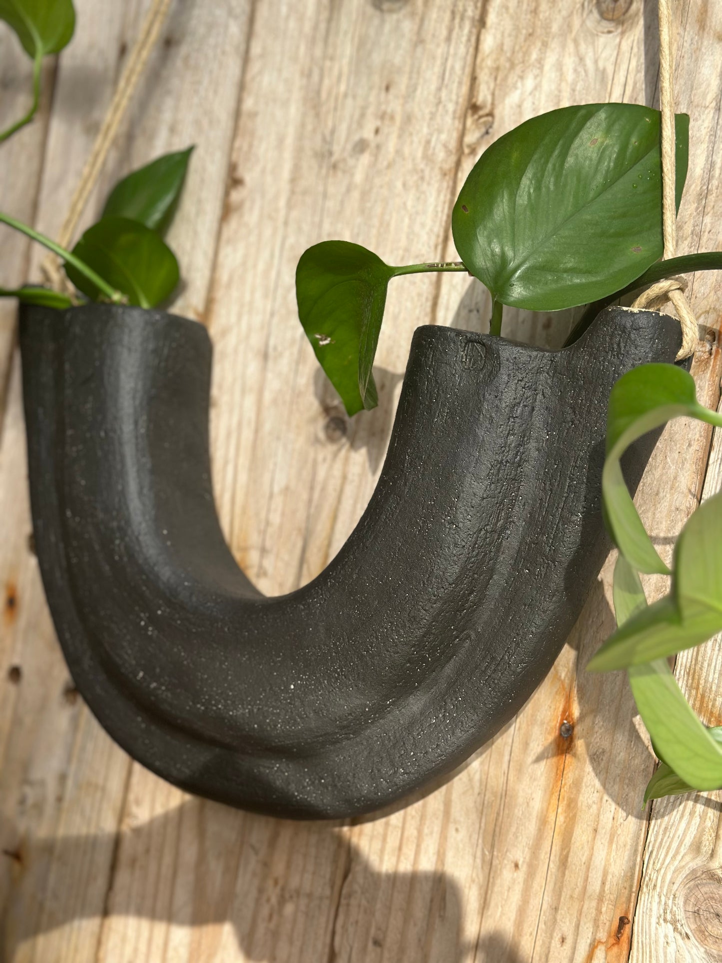 Sculptural ceramic hybrid planter with dual planting chambers, suspended by natural  flax lined rope ,side view