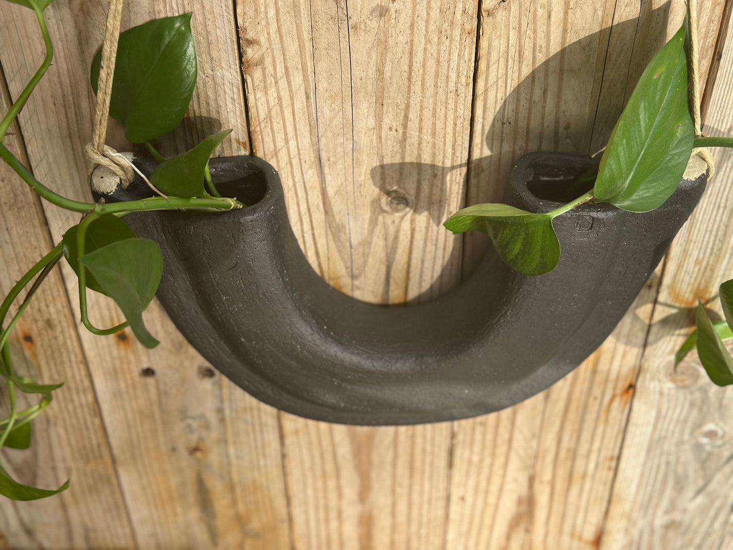 Sculptural ceramic hybrid planter with dual planting chambers, suspended by natural  flax lined rope , top view