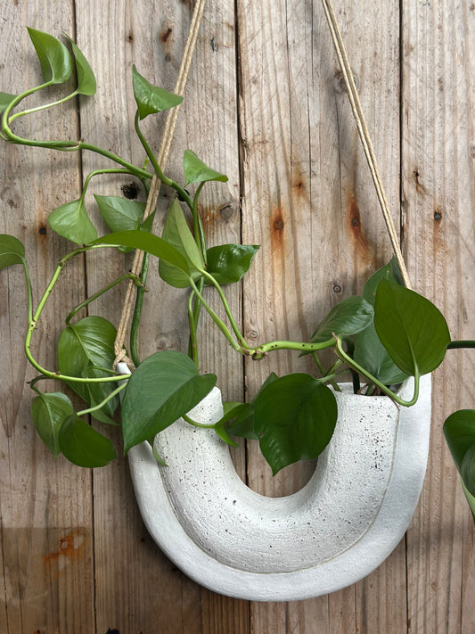 Heidi Dickinson Gift Voucher