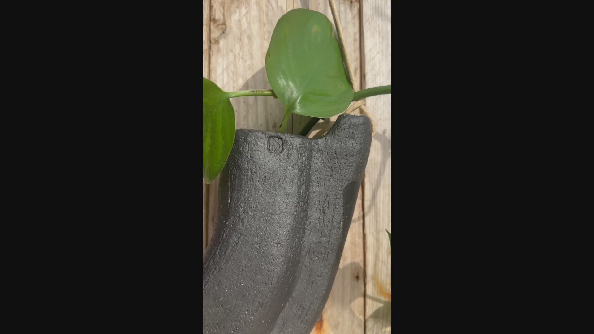 Short video of Sculptural ceramic hybrid planter with dual planting chambers, suspended by natural  flax lined rope 